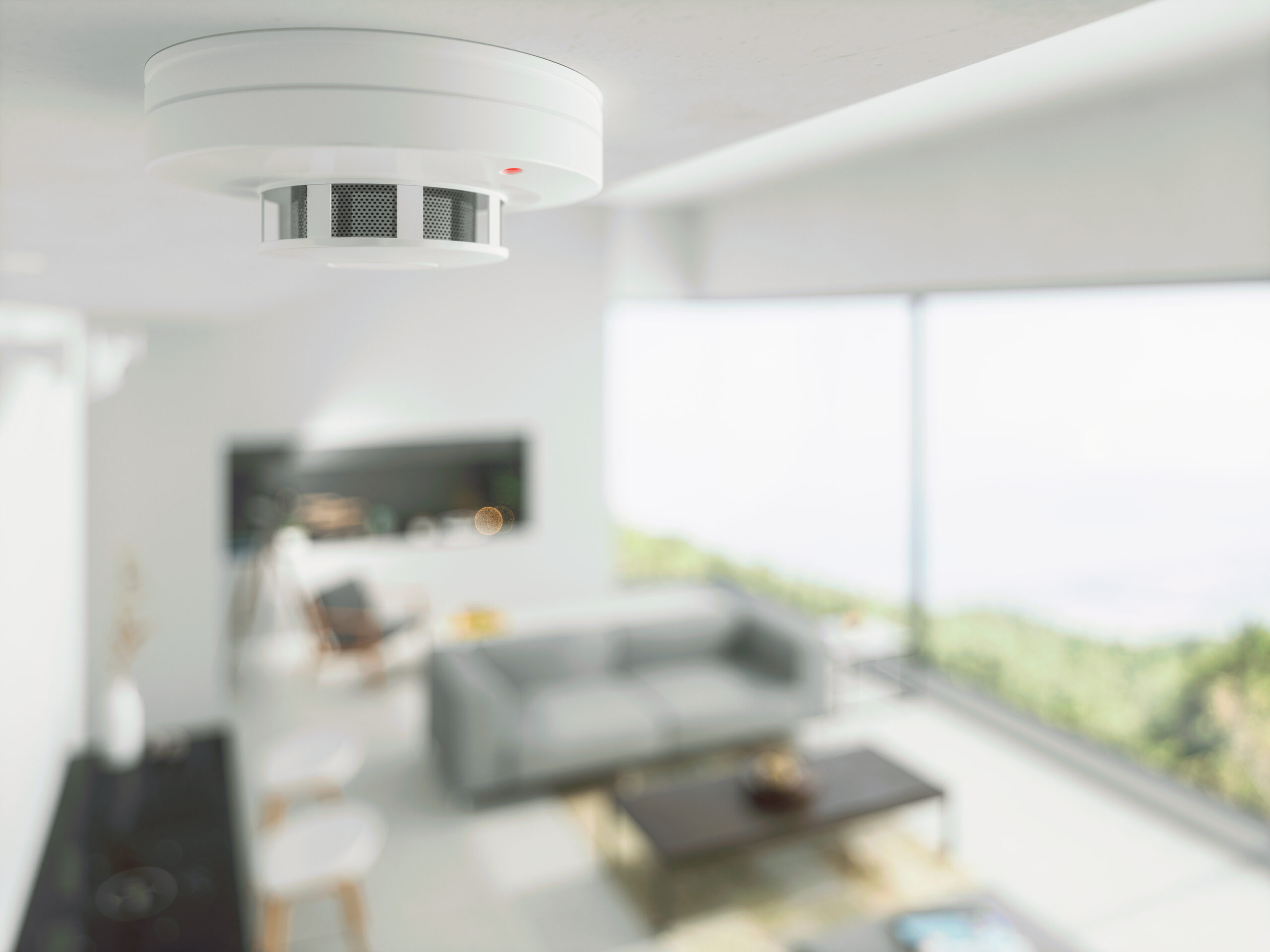 Understanding the Most Popular Types of Smoke Detectors Davis